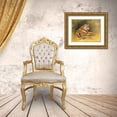 thumbnail image 3 of Stevenson, Graeme 14x12 Gold Ornate Wood Framed with Double Matting Museum Art Print Titled - Burning Bright, 3 of 4
