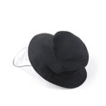 thumbnail image 2 of Chapeau, 2 of 4