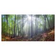 thumbnail image 2 of Morning Sun Rays in Carpathian - Impression sur Toile Photographie de Paysage, 2 of 3