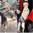 thumbnail image 2 of Support Sling for Dog Mobility - Soft Lifting Harness for Back Legs & Injury Assistance, 2 of 5