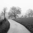 thumbnail image 2 of Szilagyi, Ily 15x15 Gold Ornate Wood Framed with Double Matting Museum Art Print Titled - Foggy Afternoon, 2 of 4