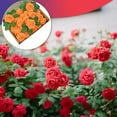 thumbnail image 2 of Ensemble de 25 Fleurs Artificielles Fausses Roses Bouquets Décoratifs pour Mariage Baby Shower Centres de Table Floraux Rouges, 2 of 7
