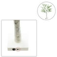 thumbnail image 3 of Mothers Day Fake Flowers,Light Up Tree Decor Indoor LED Tree Lamp Lighted With Green Leaves 2 Ft Festival Tabletop Tree Centerpieces For Home Decorations Flowers For Decoration Artificial Plants, 3 of 8