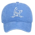 thumbnail image 3 of Washed Baseball Cap With French Embroidery For Outdoor Casual Wear - Visors Hat 2 Product Classification, 3 of 3