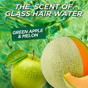 Garnier Fructis Sleek & Shine Argan Oil Glass Hair Water Smoothing Anti-Frizz Treatment, 6 fl oz