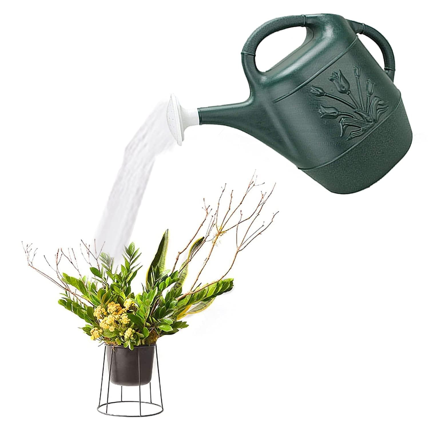 Novelty 2 Gallon Watering Can - Hunter Green 1/Pkg Pkg/6 — Residential Use, Standard Application