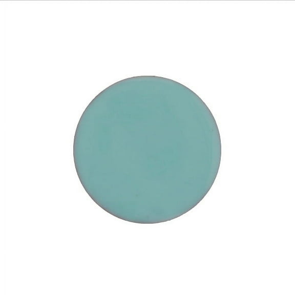 1422 Aqua Marine Green Thompson Opaque Enamel 1 Ounce