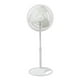 Lasko Ventilateur de Colonne Oscillante de 16 Po - Blanc – image 1 sur 5