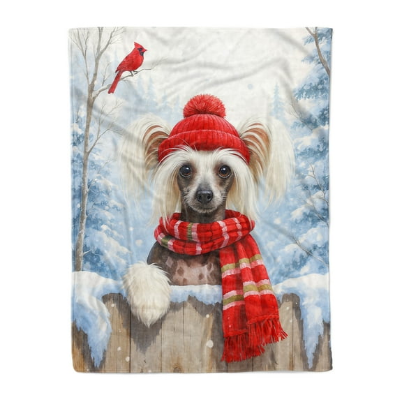 Playful Chinese Crested Welcomes Winter Snowy Day with Cardinal Bird Cozy Fleece Blanket Dog Lover Warm Soft Throw Blanket - 2017