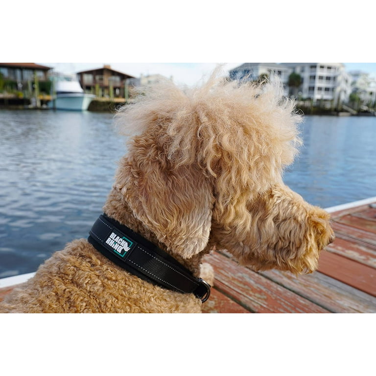 Black rhino dog harness top
