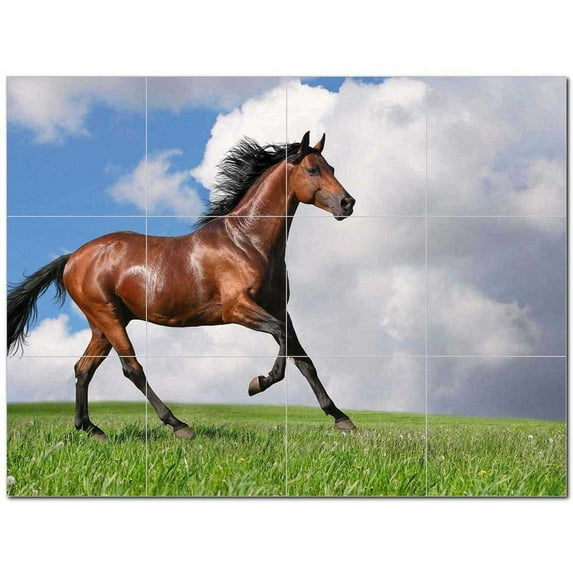 Horse Ceramic Tile Mural Kitchen Backsplash Bathroom Shower 402828-XL43