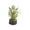 White, variant on Tarmeek Artificial Silk Tulip Plant in Pink Pot - Realistic Faux Potted Greenery for Living Room, Office Desk, Kitchen Countertop, Bedroom Shelf Home Accent