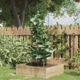 thumbnail image 1 of vidaXL Garden Plant Supports with 4 Rings 5 pcs Green 90 cm Steel, 1 of 5