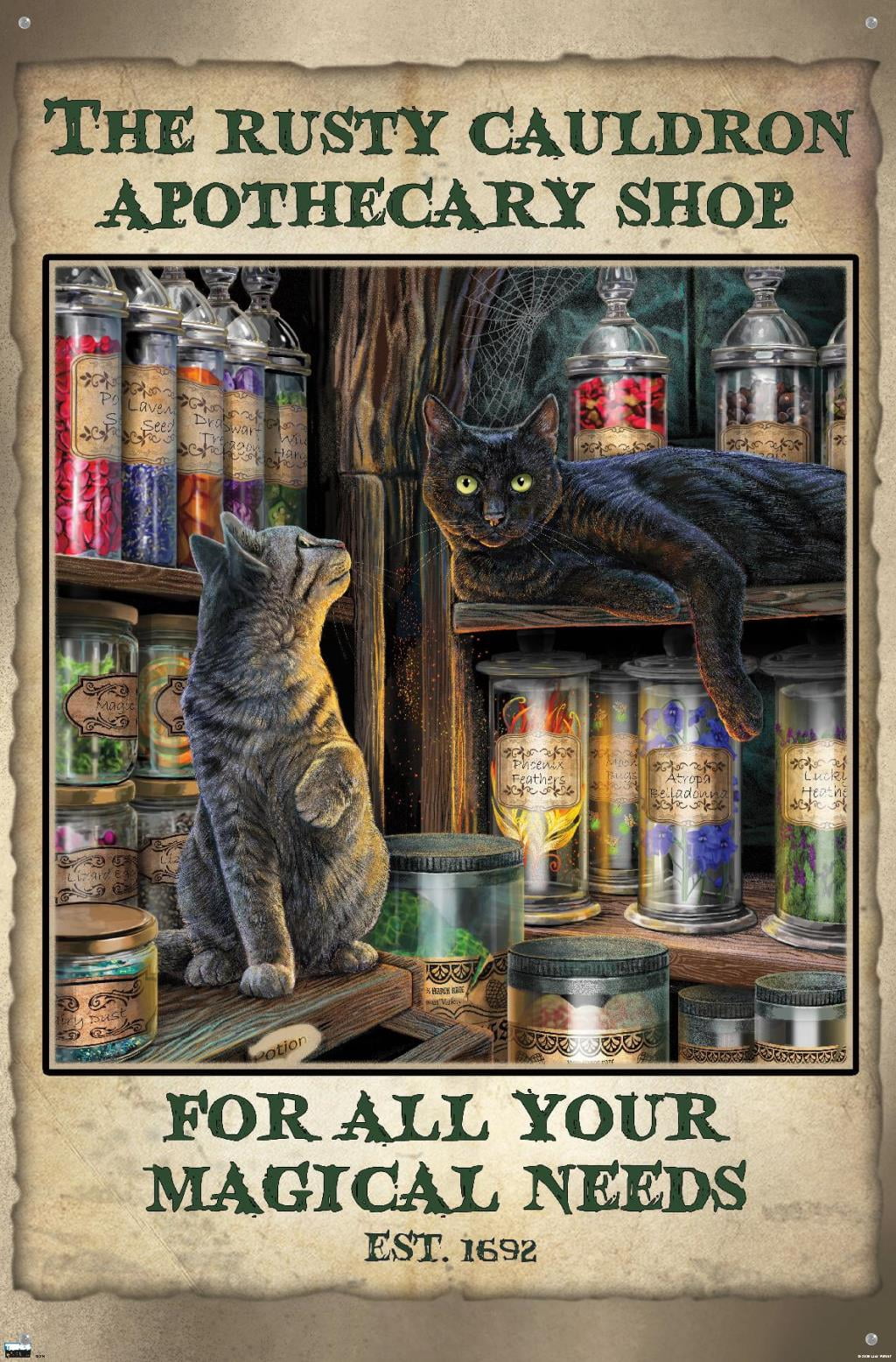 Lisa Parker - Apothecary Shop Wall Poster with Pushpins, 22.375" x 34"