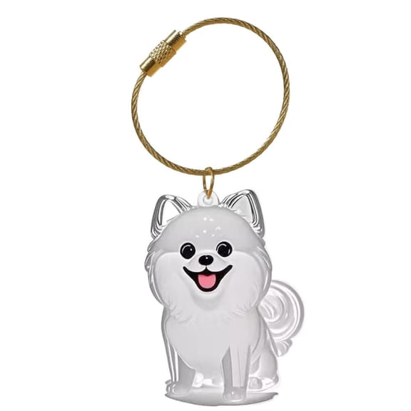 QHUDLV Pessrrtewg Dog Hair Collector Keychain, Bottle for Pet Hairs Keychain,Dog Fur Memorial Bottle Keyring,Pet Hair Memorial Keepsake,Portable Pet Memory Capsule,Pet Lovers Memorial Gift