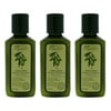 CHI Olive Organics Hair and Body Shampoo Body Wash - Pack of 3, Body Wash 2 oz