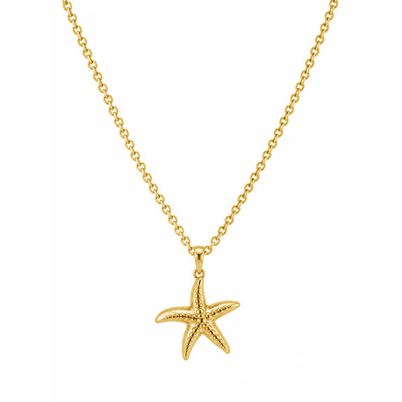 Aksraa jewellery - Starfish Pendant Necklace for Women, Ocean Inspired Coastal Jewelry with Lightweight Chain
