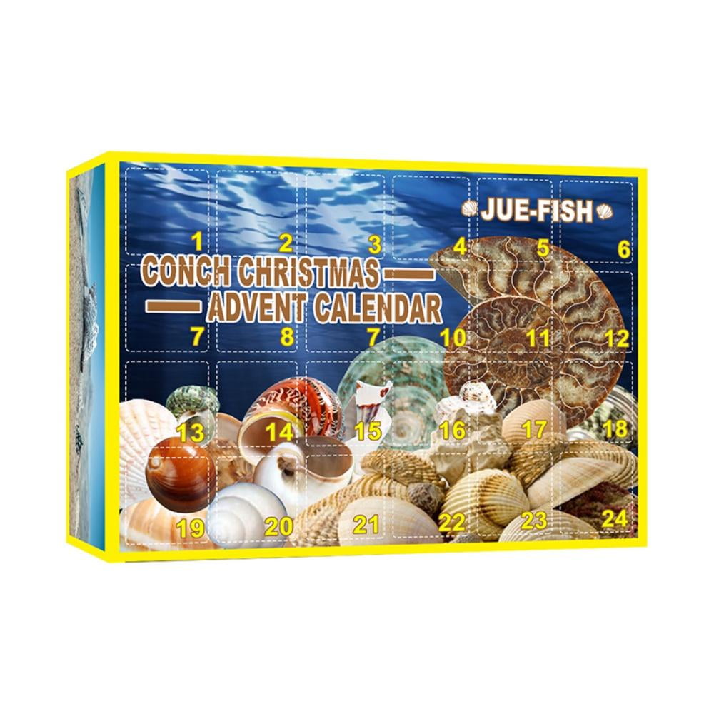 Shengshi 24 Piece Christmas Countdown Advent Calendar, Seashell Toys