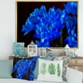 thumbnail image 2 of Designart 'Blue Chrysanthemum Flowers On Black Backround' Traditional Framed Canvas Wall Art Print, 2 of 5