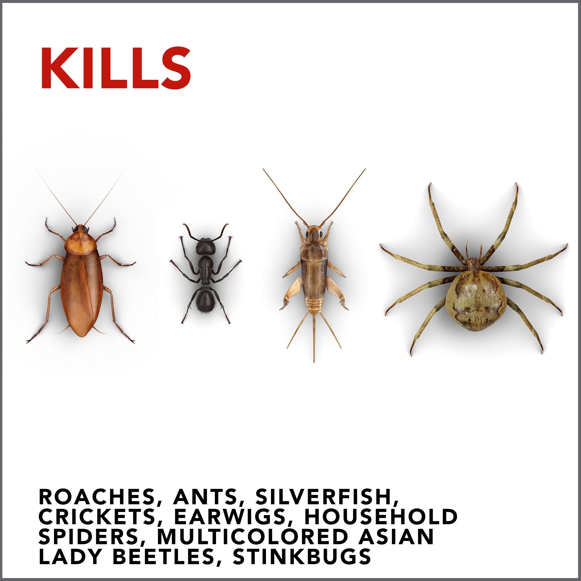2PK Raid 17.5 OZ Aerosol Ant & Roach Killer Unscented