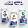 thumbnail image 7 of KAL B-12 DropIns 1000 mcg | Natural Grape Flavor | Healthy Metabolism, Energy, Nerve & Red Blood Cell Support | 2 FL. OZ. | 196 Servings, 7 of 7