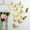 Golden, variant on Monebena Butterfly Decorations, 72 Pcs 3 Sizes Butterfly Wall Decor, Butterfly Party Cake Decorations, Gold Butterfly Wall Stickers 3D Wall Art for Room Decor Birthday (Gold)