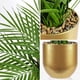thumbnail image 4 of Palmera artificial Briful de 40 cm en maceta dorada, 4 of 8