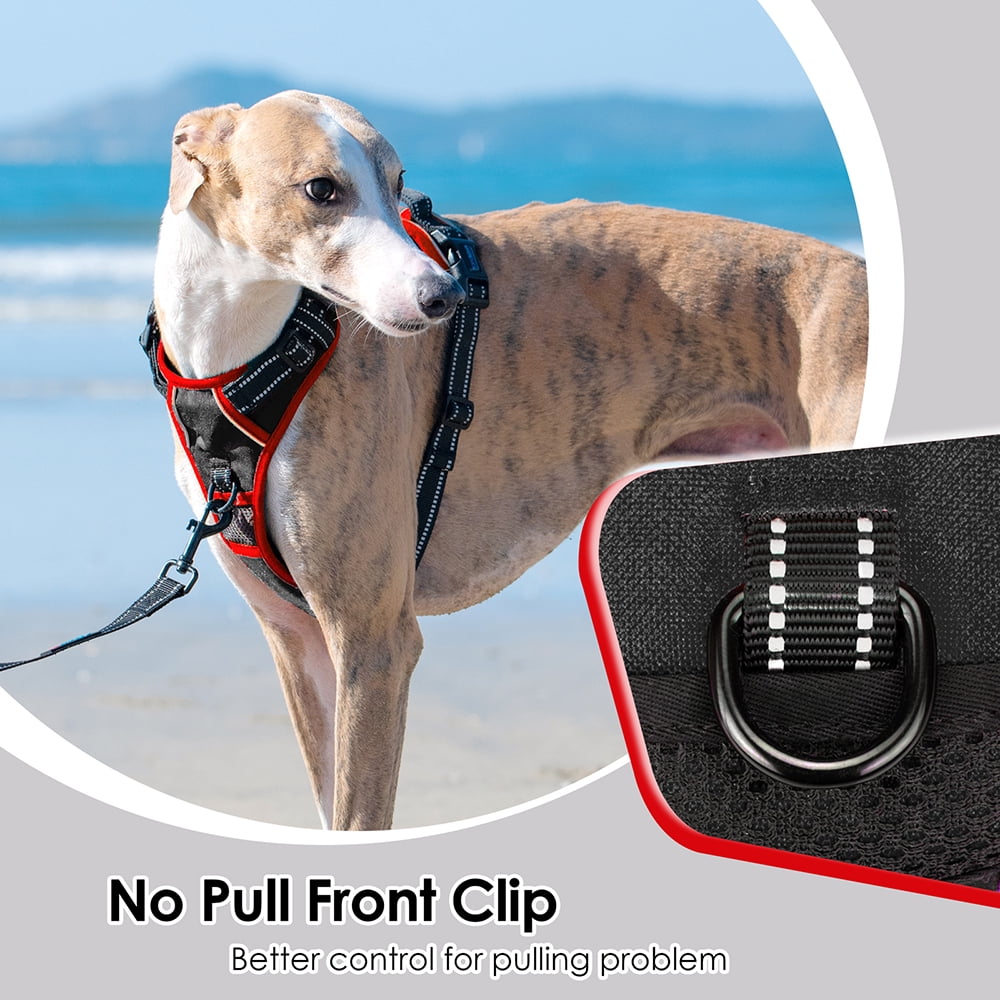PHOEPET 2019 Upgraded No Pull Dog Harness, Reflective Adjustable Vest, with a Training Handle + 2 Metal Leash Hooks+ 3 Snap Buckles +4 Slide Buckles
