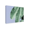 thumbnail image 2 of Eva Bane 'Clear Leaves On Blue II' Canvas Art, 2 of 3