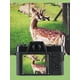 thumbnail image 4 of Camera 4K HD Digital Auto 48MP Video USB 2.0 Travel Portable, 4 of 9
