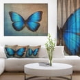 thumbnail image 2 of DESIGN ART Designart - Blue Vintage Butterfly - Floral Canvas Art Print 20 in. wide x 12 in. high, 2 of 5