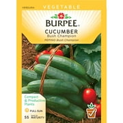 Burpee-Cucumber, Bush Champion Seed Packet