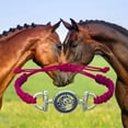 thumbnail image 2 of Unisex Horse Bit Charm Bracelet, Horse Lovers Equestrian Jewelry - Adjustable Friendship Braided String Stirrup Bracelet for Women, Men, Teens, Boys and Girls (Pink), 2 of 4