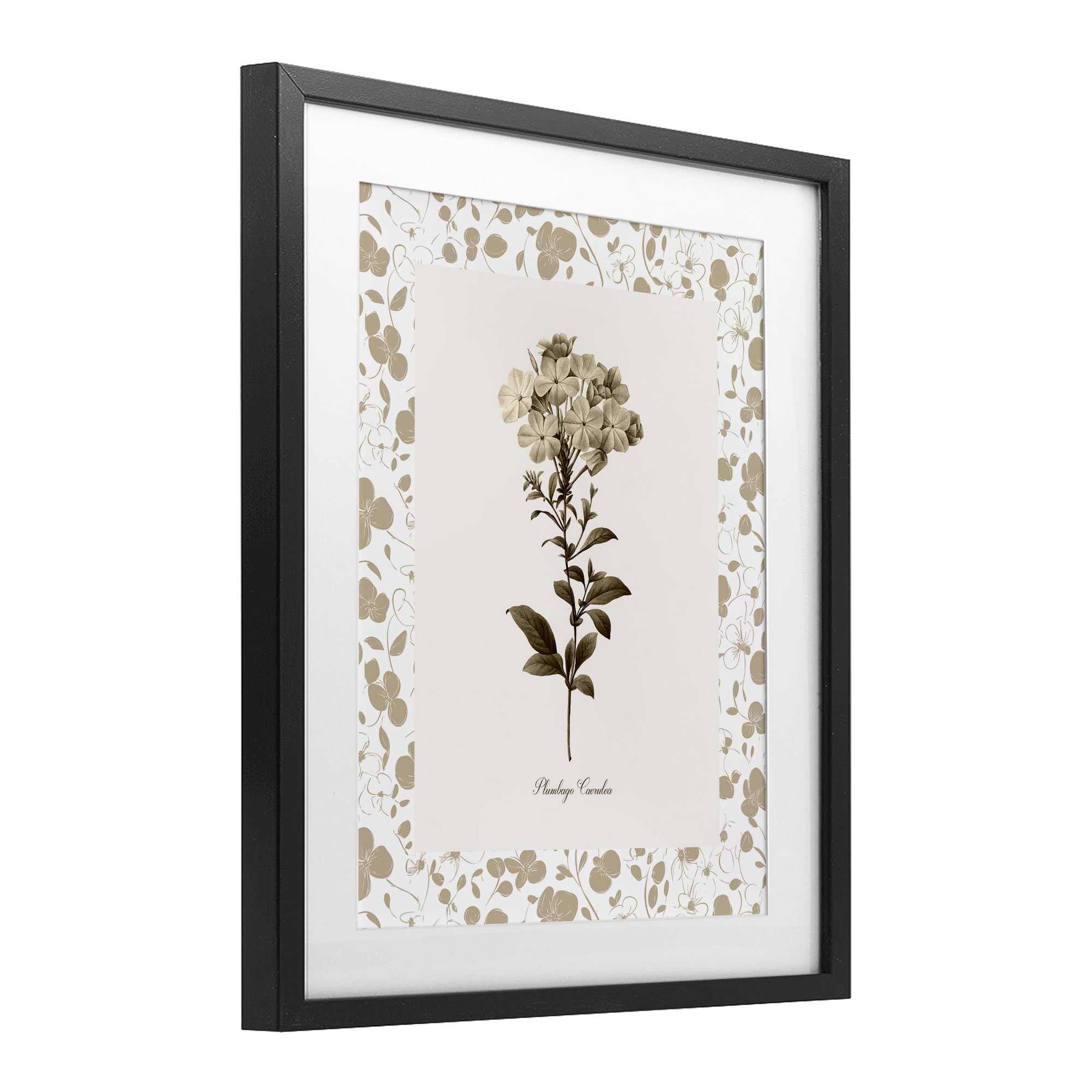 Stupell Industries Neutral Imperial Botanical Black Framed Print Under Glass, design by Kelly Donovan
