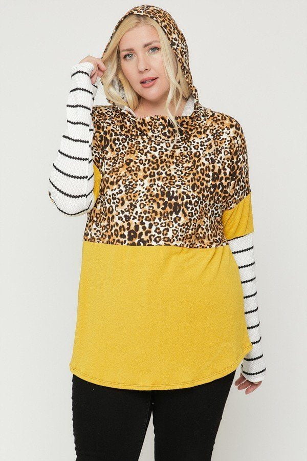 plus size color block hoodie