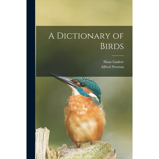 Bird Dictionary