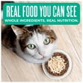 thumbnail image 3 of (2 pack) Tiki Cat Born Carnivore Indoor Health Dry Cat Food, Trout & Menhaden Fish Meal, 3 lbs. Bag, 3 of 11
