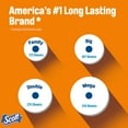 thumbnail image 3 of Scott ComfortPlus Toilet Paper, 36 Mega AIS1&nbsp;Rolls, 310 Sheets per Roll, Septic-Safe, 1-Ply Toilet Tissue, 3 of 3
