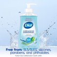 thumbnail image 4 of Dial Antibacterial Liquid Hand Soap, Spring Water Scent, 325ml, Dermatologist Tested, pH Balanced, Free from Silicones, Parabens, Phthalates, SLES/SLS, 4 of 9