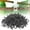 Black_Base#2014, variant on Grapevine Flower Lattice Plant Support Clips, 50-Pack, Plastic Garden Clips for Tomato, Cucumber, Luffa, Vegetable Vines, Secured Lattice Clip, Reusable Plant Fixing Clips