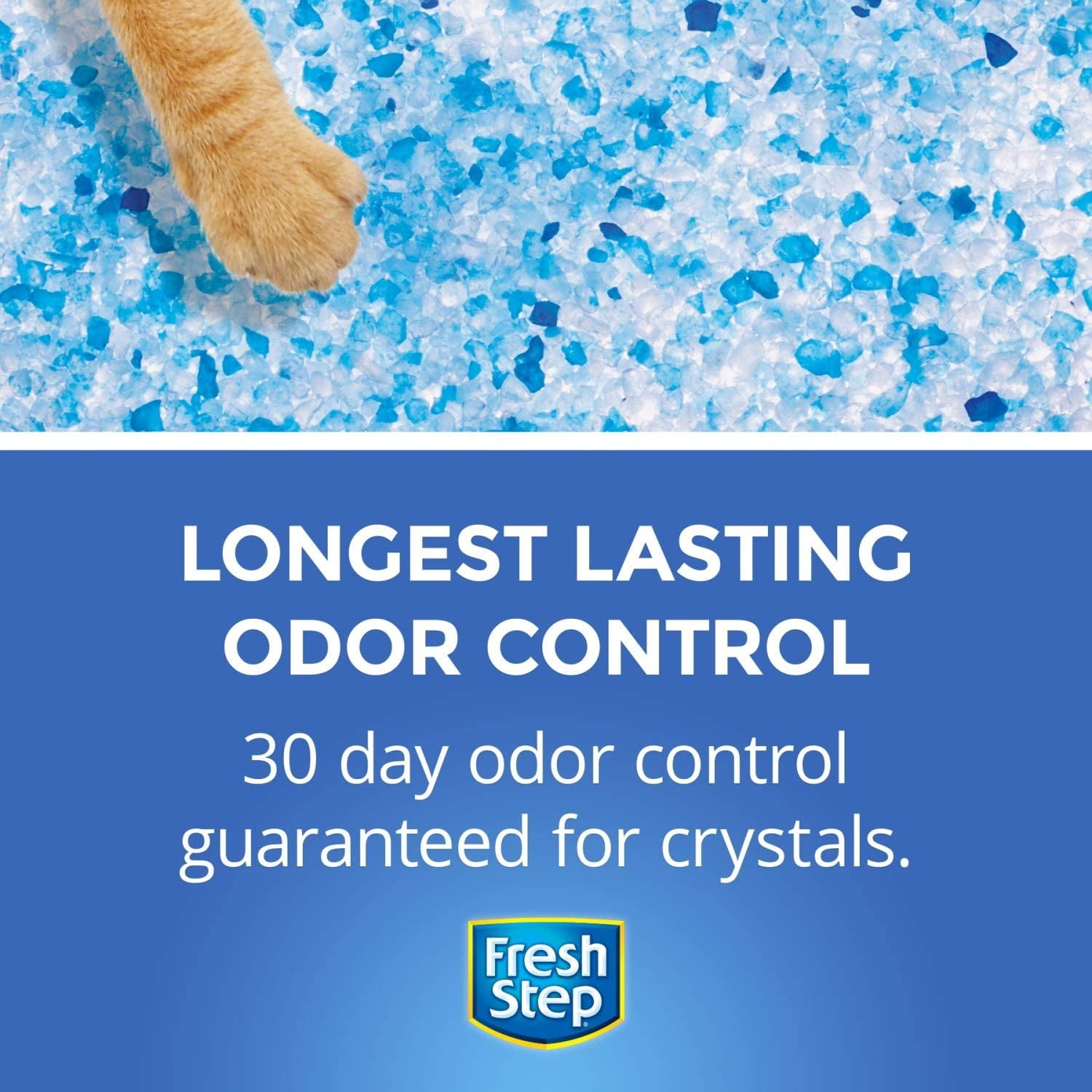 Fresh Step Lightweight Low Dust Premium Cat Litter Scented 16 Pounds 2 Pack of 8 lb Bags Walmart