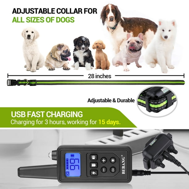 Dog training collar with light outlet