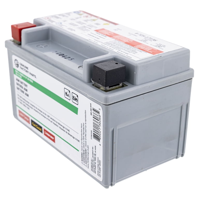 MTD 490-280-F016 135CCA 12 Volt AGM Battery Troy-Bilt Craftsman