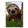 Hallmark Funny Thinking of You Greeting Card (Sloth in Tree)