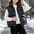 thumbnail image 5 of StSilkitty Puffer Vest for Boys Girls Zip up Sleeveless Stand Collar Jacket Coat Fall Winter Warm Outerwear with Pockets, 5 of 9