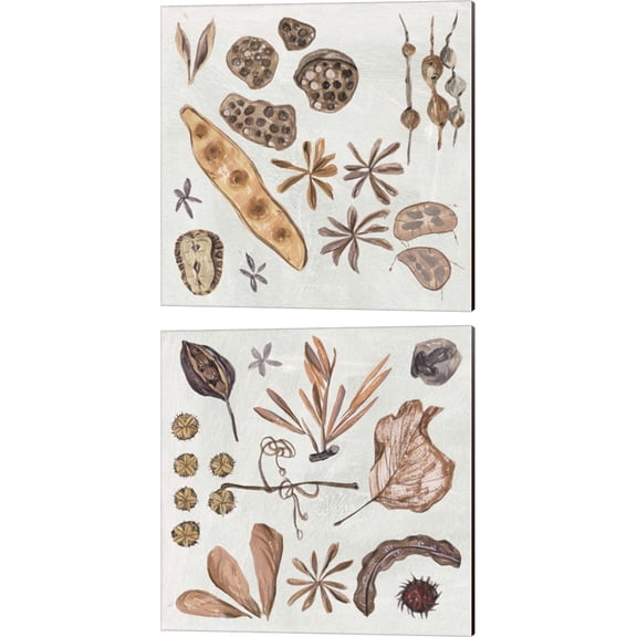 Great Art Now Small Things by Melissa Wang 2 Piece Canvas Art Set Each 14"W x 14"H