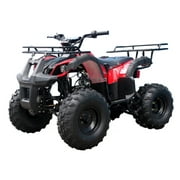 Tao Tao T Force 125 cc ATV Reverse and Big 19 18 Tires Utility Model Carb