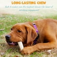 thumbnail image 3 of Whole Deer Antler for Dogs - Long Lasting Dog Chews for Aggressive Chewers - Single Ingredient Dog Treat & Odorless Deer Antlers for Small Dogs & Medium Dogs - 4-5" (1ct), 3 of 8
