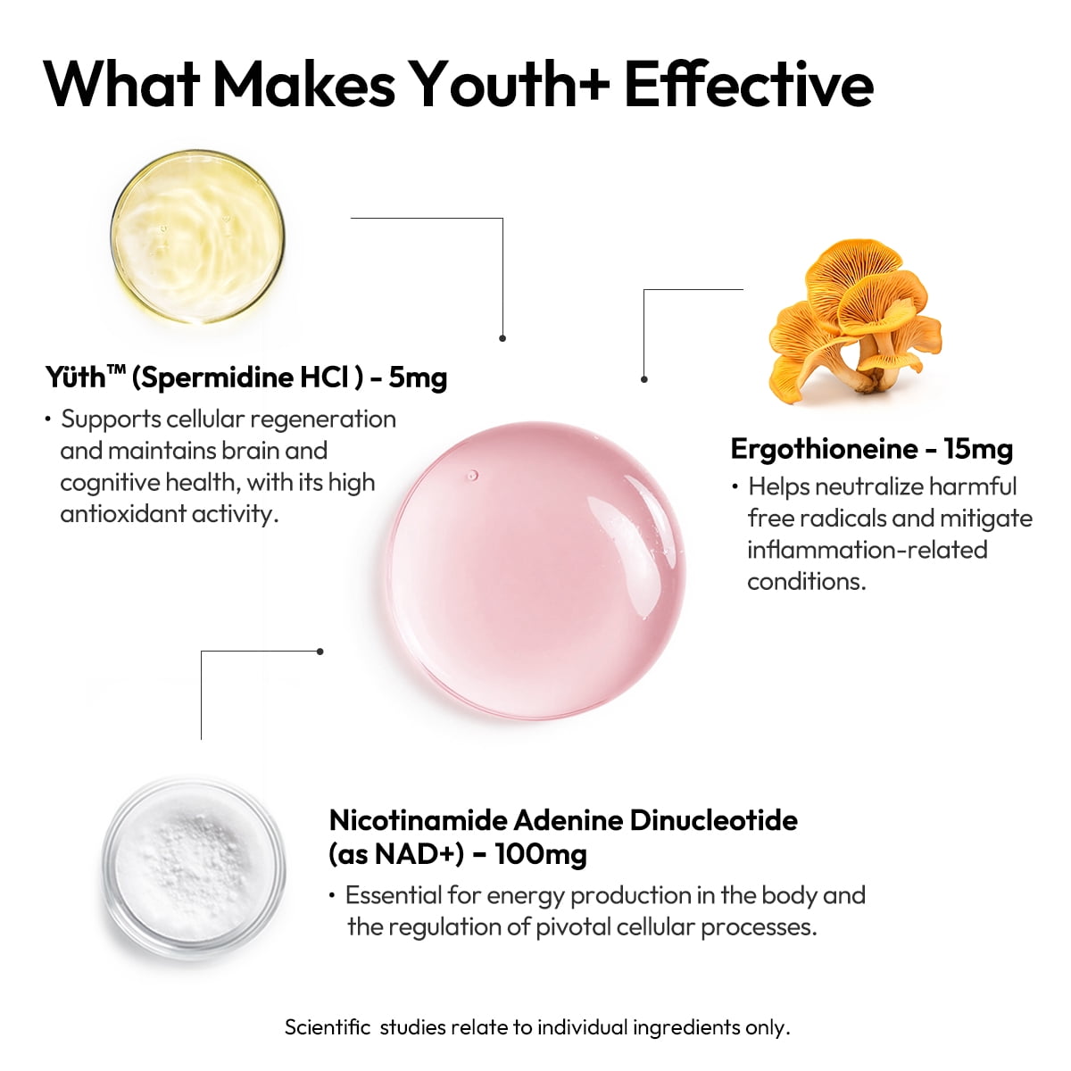 BIGVITA Youth+ |  Ready-to-Drink Supplement with Yüth, NAD+ & L-Ergothioneine | Supports Anti-Aging, Energy, Skin, Hair & Cognitive Health