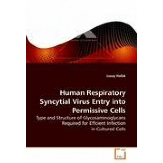 Entrée du Virus Respiratoire Syncytial Humain dans les Cellules Permissives